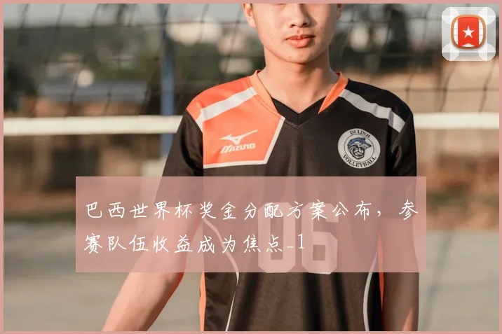 巴西世界杯奖金分配方案公布,参赛队伍收益成为焦点_1