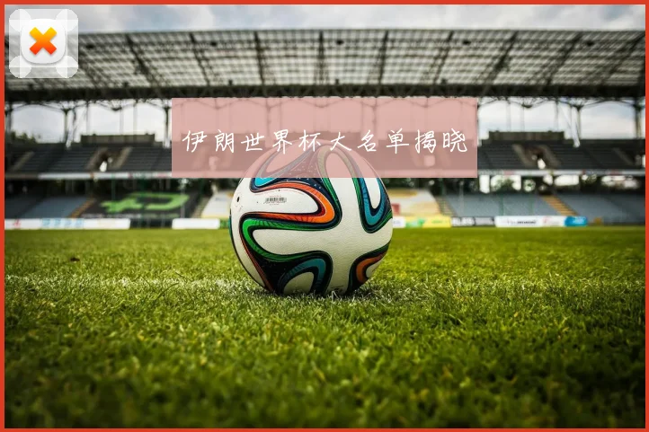 伊朗世界杯大名单揭晓